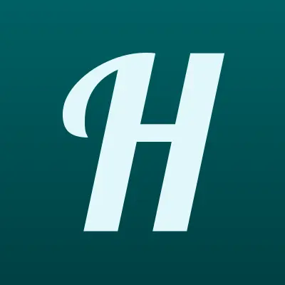 Hameleon, компания по продаже натяжных потолков, лого-визитка